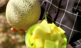 娱乐吃瓜八瓜,吃瓜八瓜，一网打尽明星幕后故事